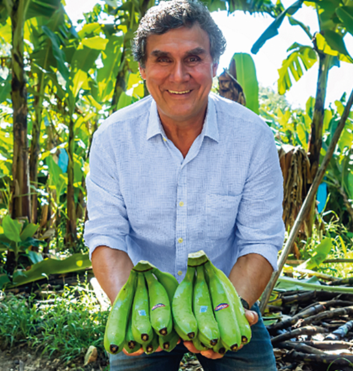 José Luiz Corrêa /  / Produtor de banana