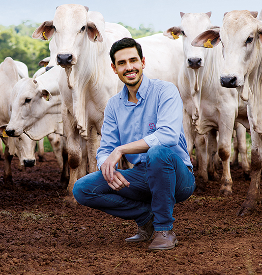 Pedro H. Martins - Fornecedor de Carne Bovina Nelore