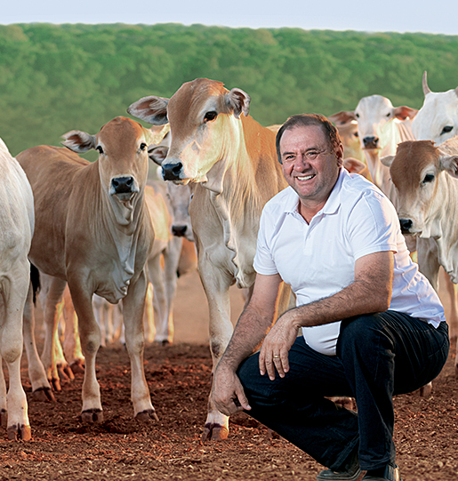 Osmar Ribeiro de Mello - Fornecedor de Carne Bovina Asturiana