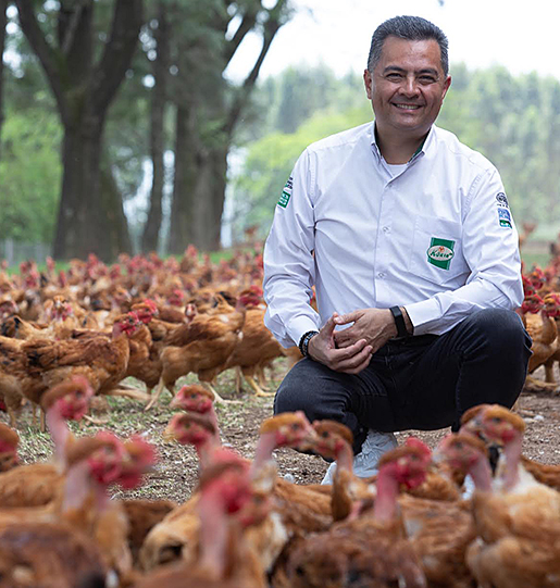 Reginaldo Morikawa - Fornecedor de Frango Caipira