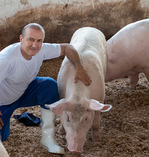 Denilson Cesar da Silva - Fornecedor de Carne Suína
